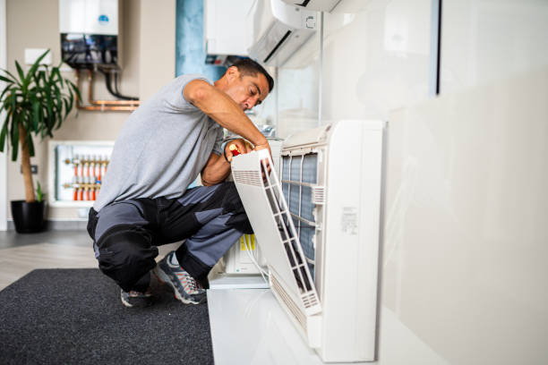Best Air Vent Cleaning Services  in Gages Lake, IL