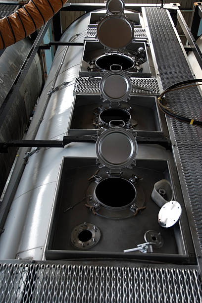 Best Air Duct Mold Removal  in Gages Lake, IL